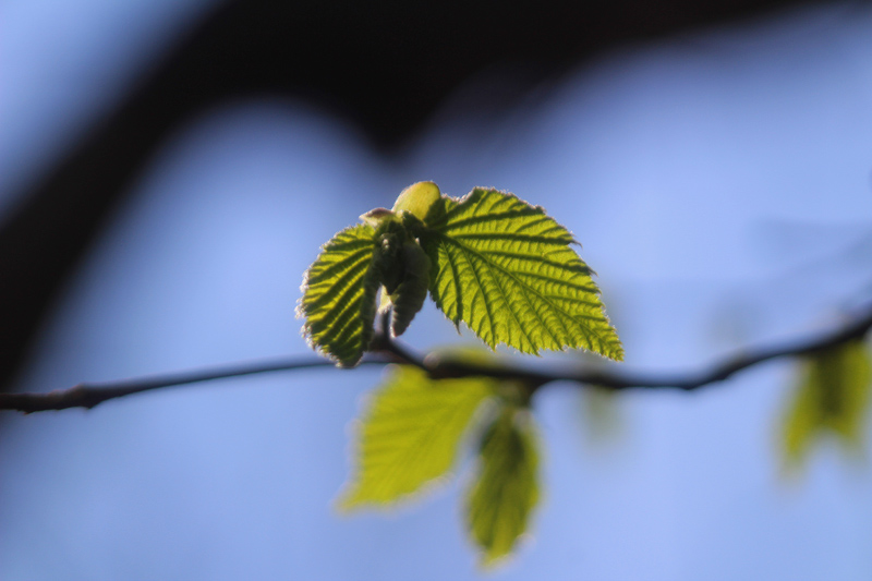 april2019 019-1-mala